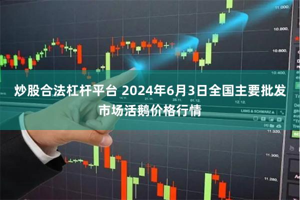 炒股合法杠杆平台 2024年6月3日全国主要批发市场活鹅价格行情