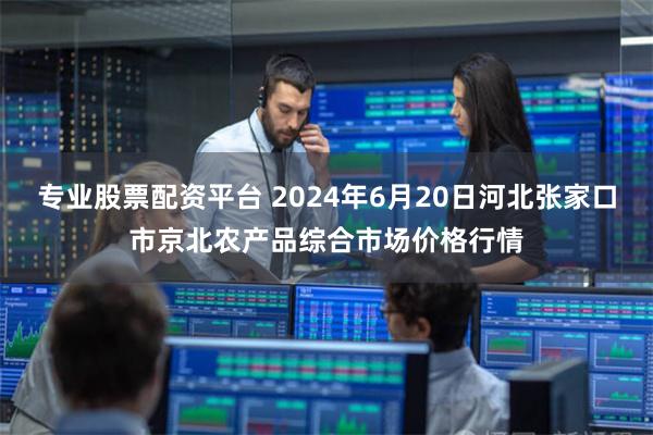 专业股票配资平台 2024年6月20日河北张家口市京北农产品综合市场价格行情