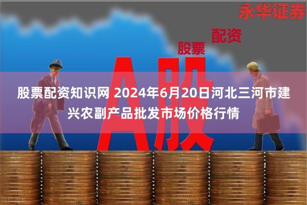 股票配资知识网 2024年6月20日河北三河市建兴农副产品批发市场价格行情