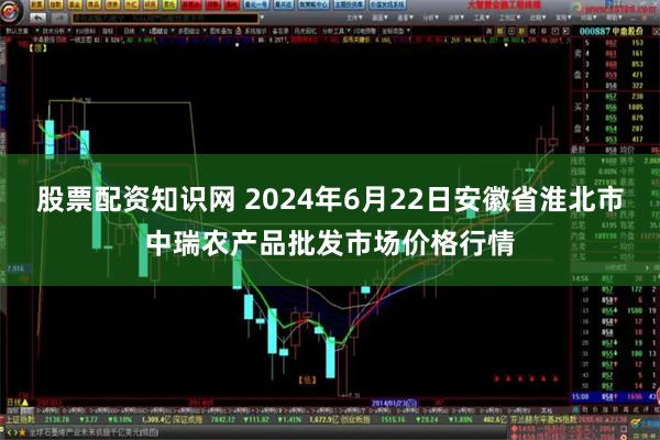 股票配资知识网 2024年6月22日安徽省淮北市中瑞农产品批发市场价格行情