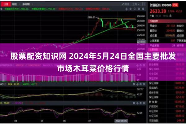 股票配资知识网 2024年5月24日全国主要批发市场木耳菜价格行情