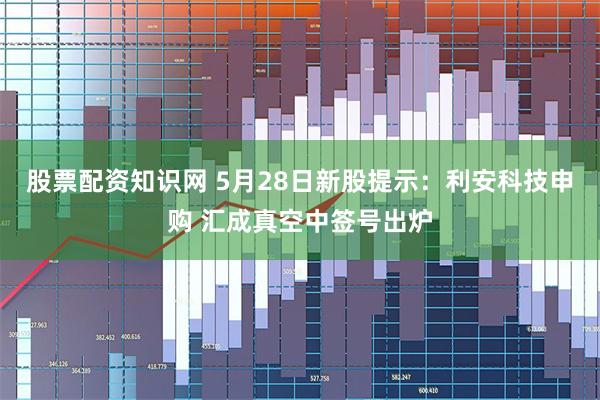 股票配资知识网 5月28日新股提示：利安科技申购 汇成真空中签号出炉