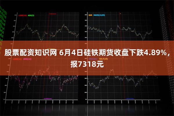 股票配资知识网 6月4日硅铁期货收盘下跌4.89%，报7318元