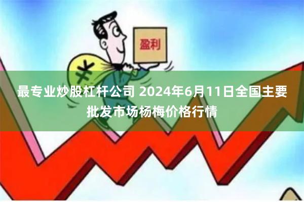 最专业炒股杠杆公司 2024年6月11日全国主要批发市场杨梅价格行情