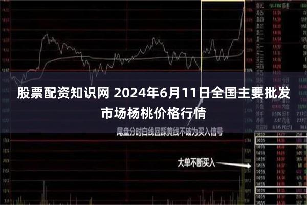 股票配资知识网 2024年6月11日全国主要批发市场杨桃价格行情