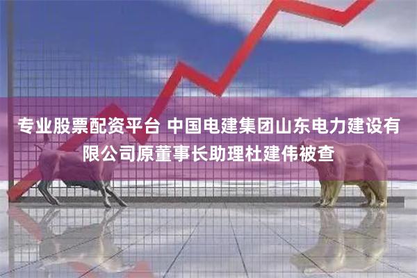 专业股票配资平台 中国电建集团山东电力建设有限公司原董事长助理杜建伟被查